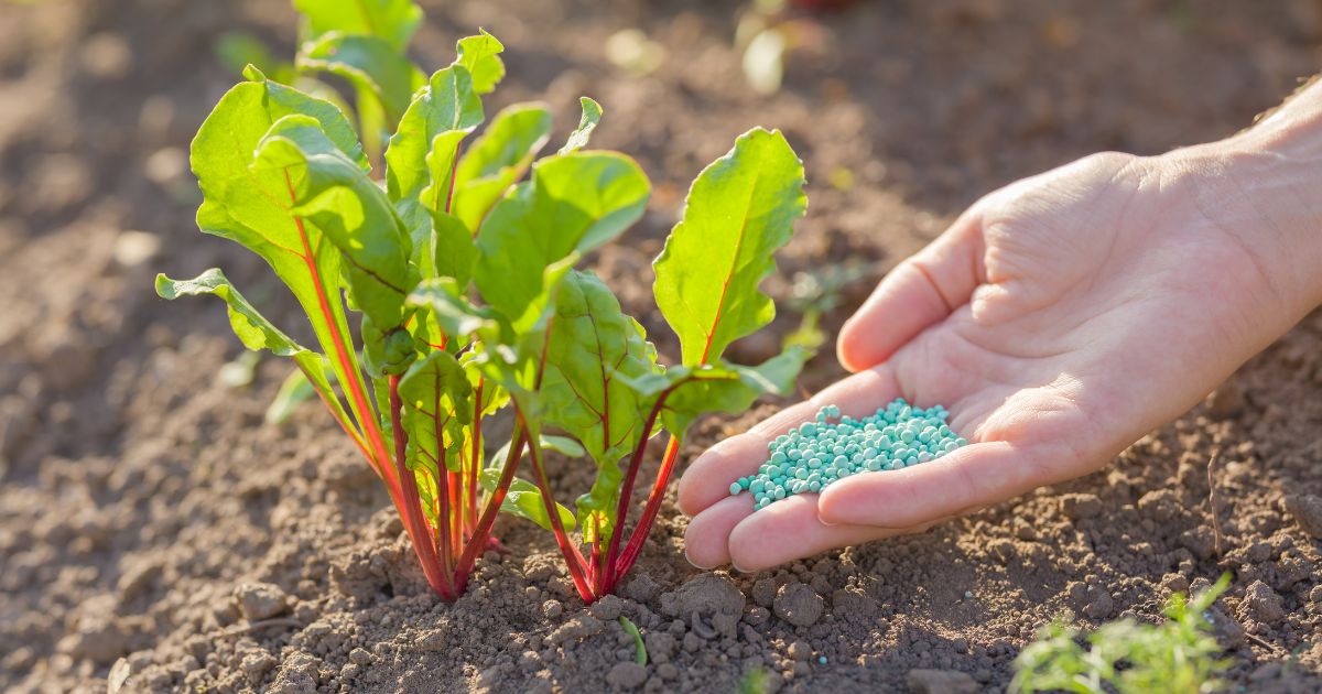 Chile Fertiliser Market