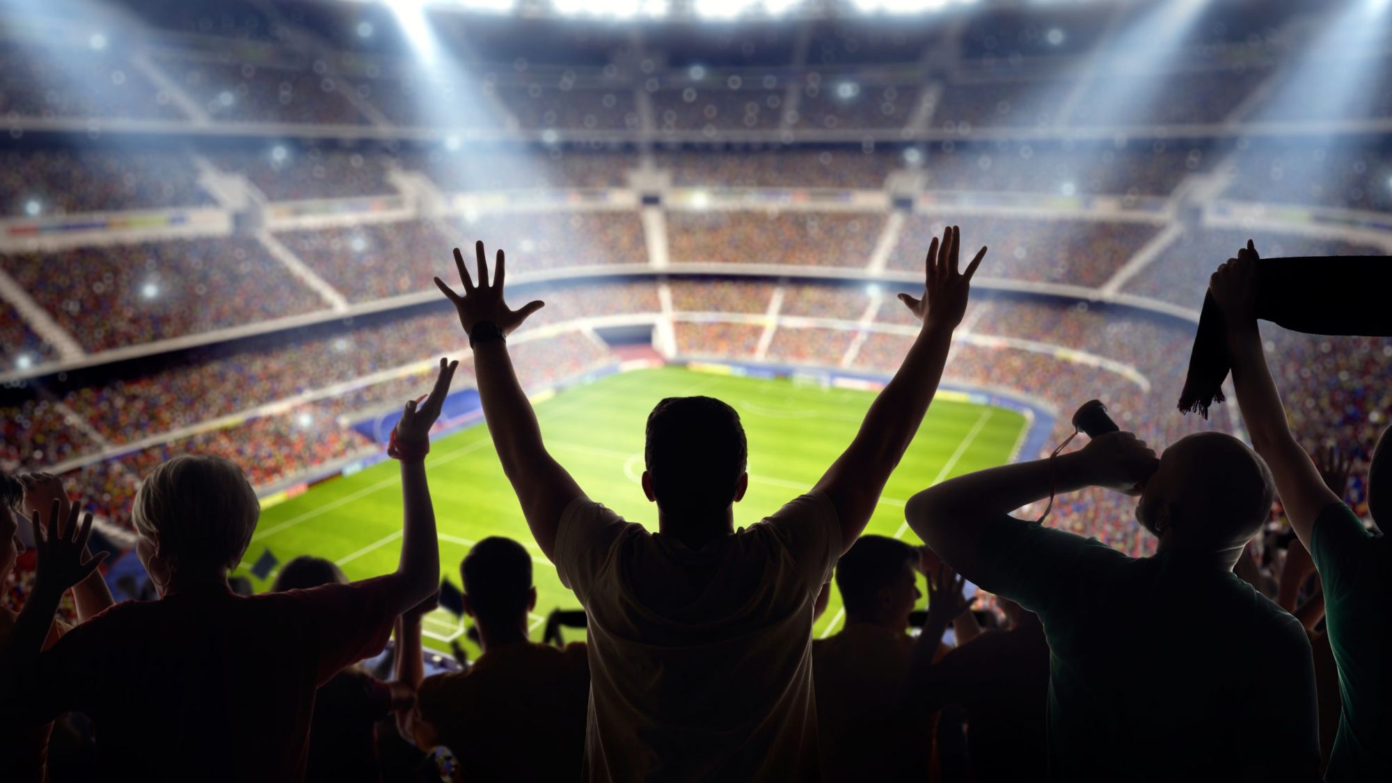 Fans cheering during a live football match