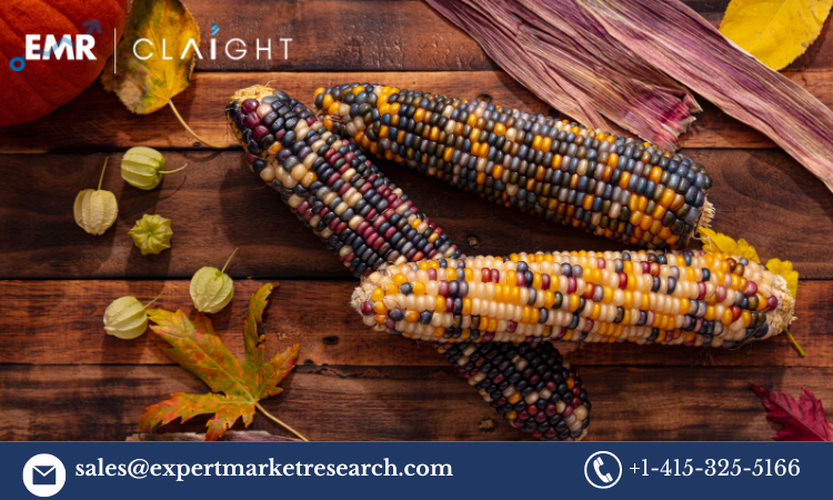 Native Corn Price Forecast