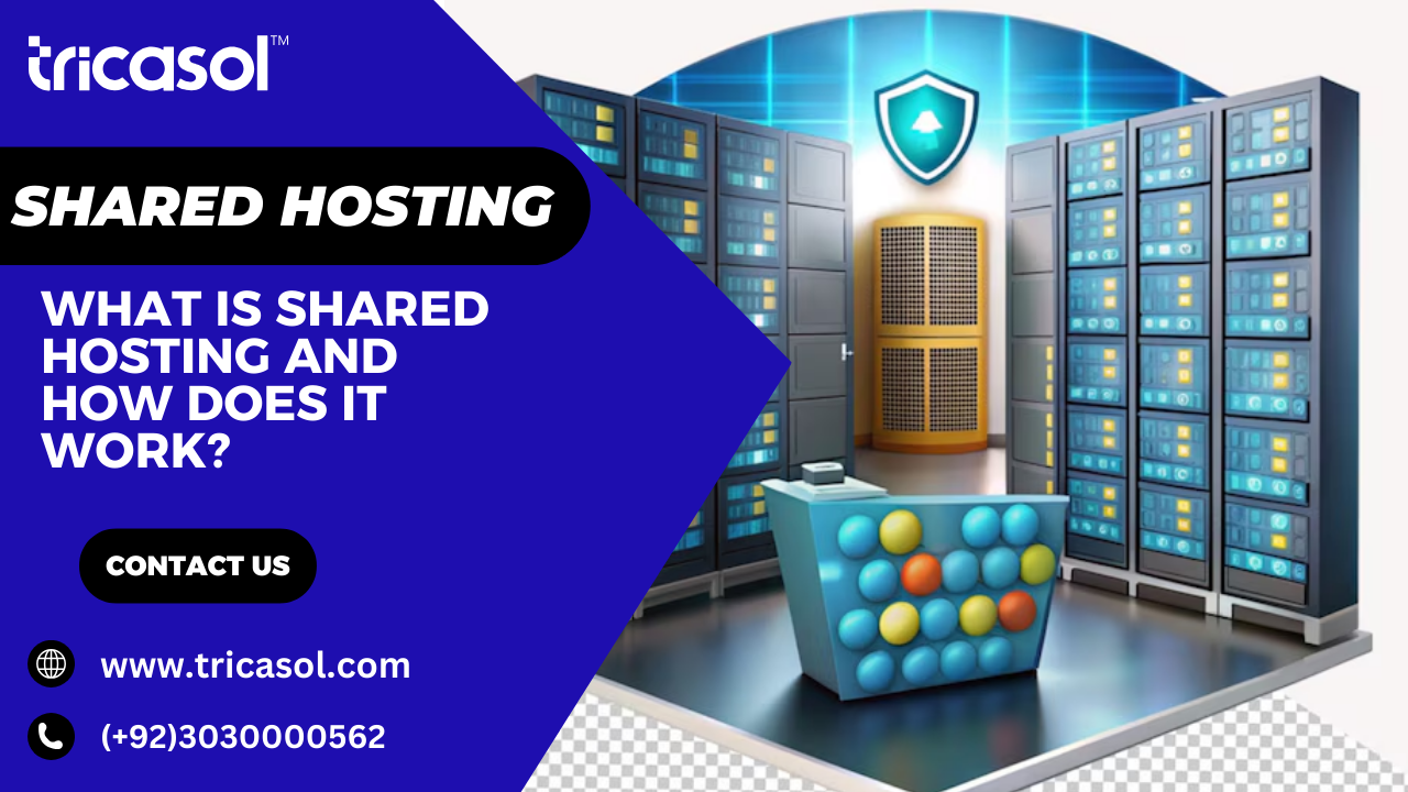 shared hosting