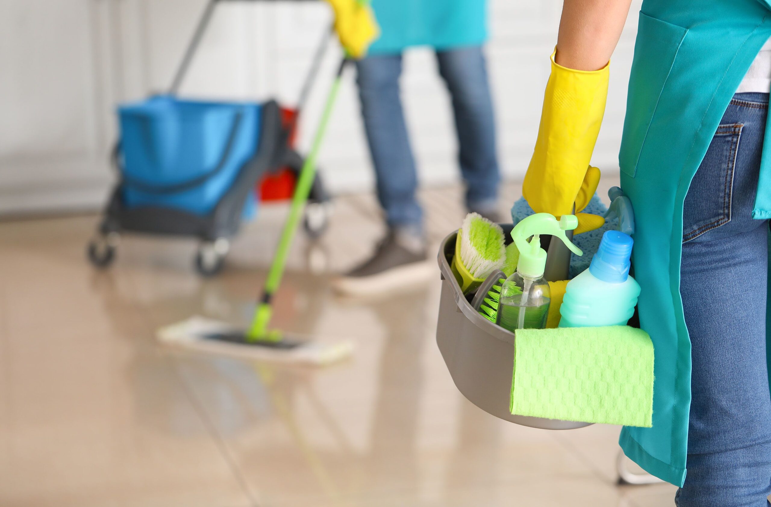 Professional House Cleaners