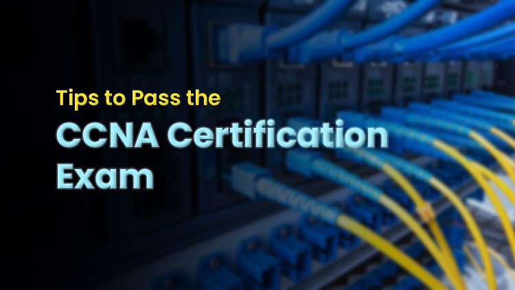 CCNA course in Dubai