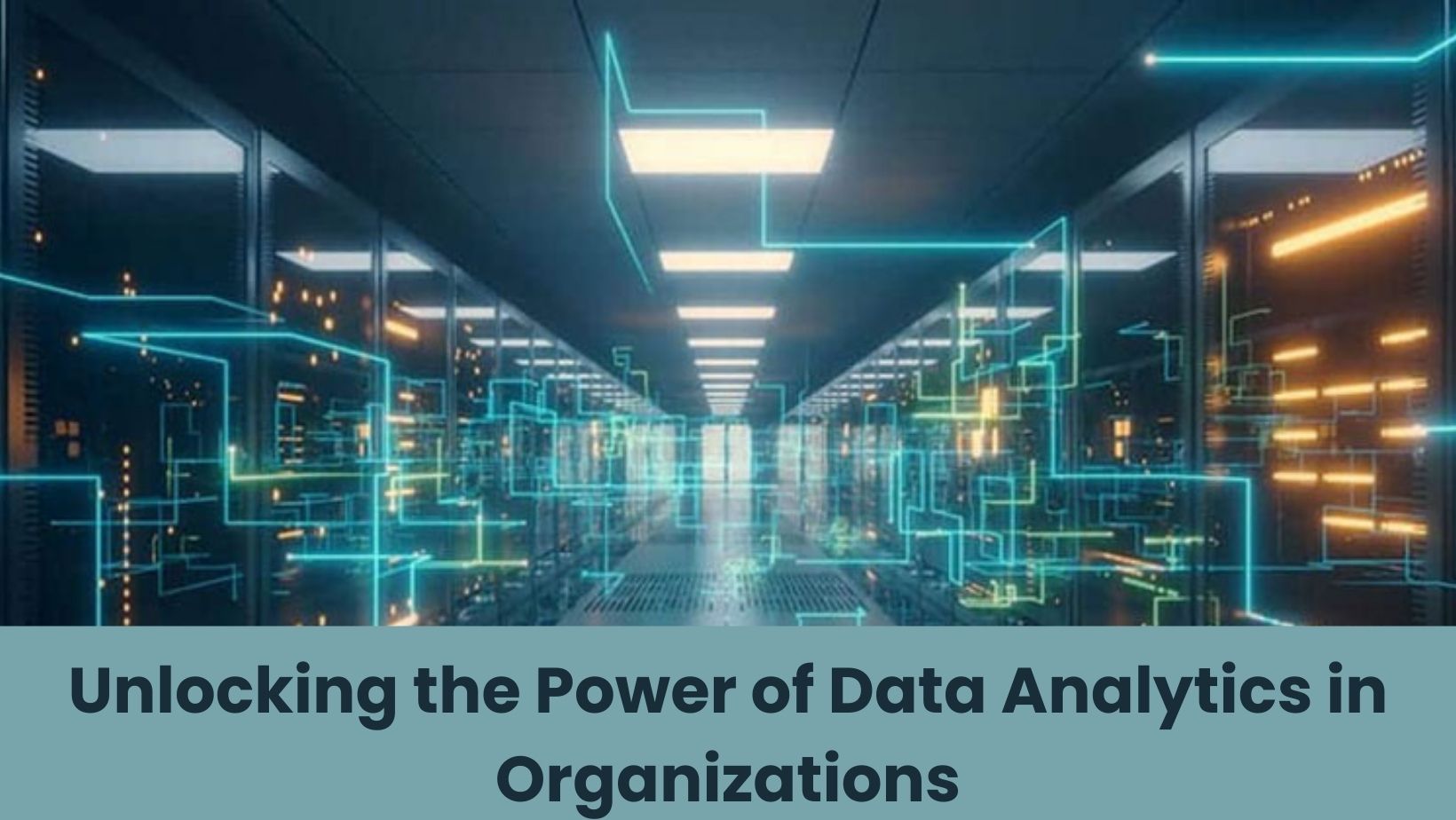 Unlocking the Power of Data Analytics in Organizations