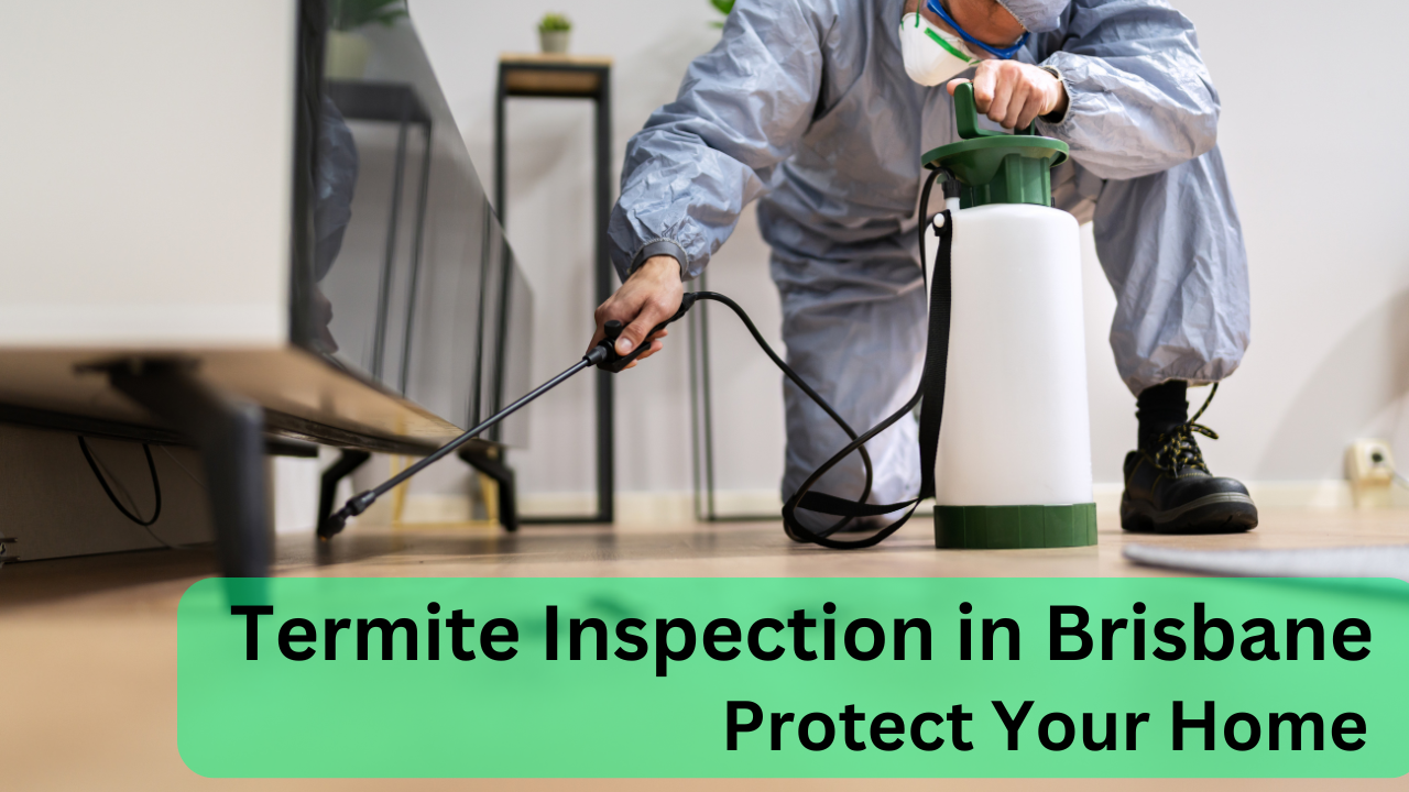 Comprehensive Guide to Termite Inspection in Brisbane: Protect Your Home