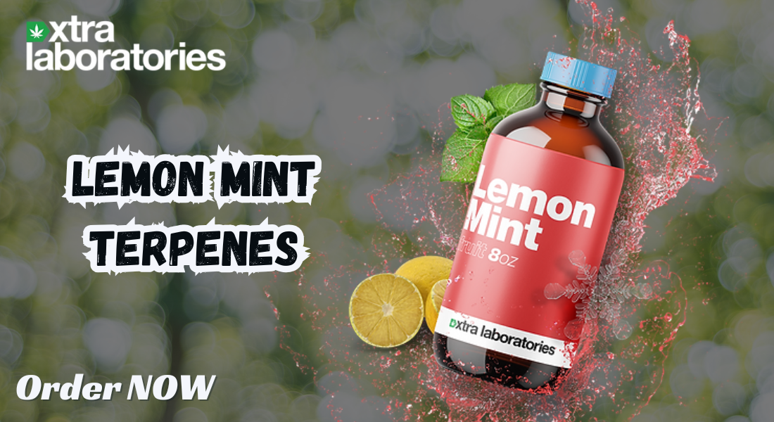 Lemon Mint Terpenes