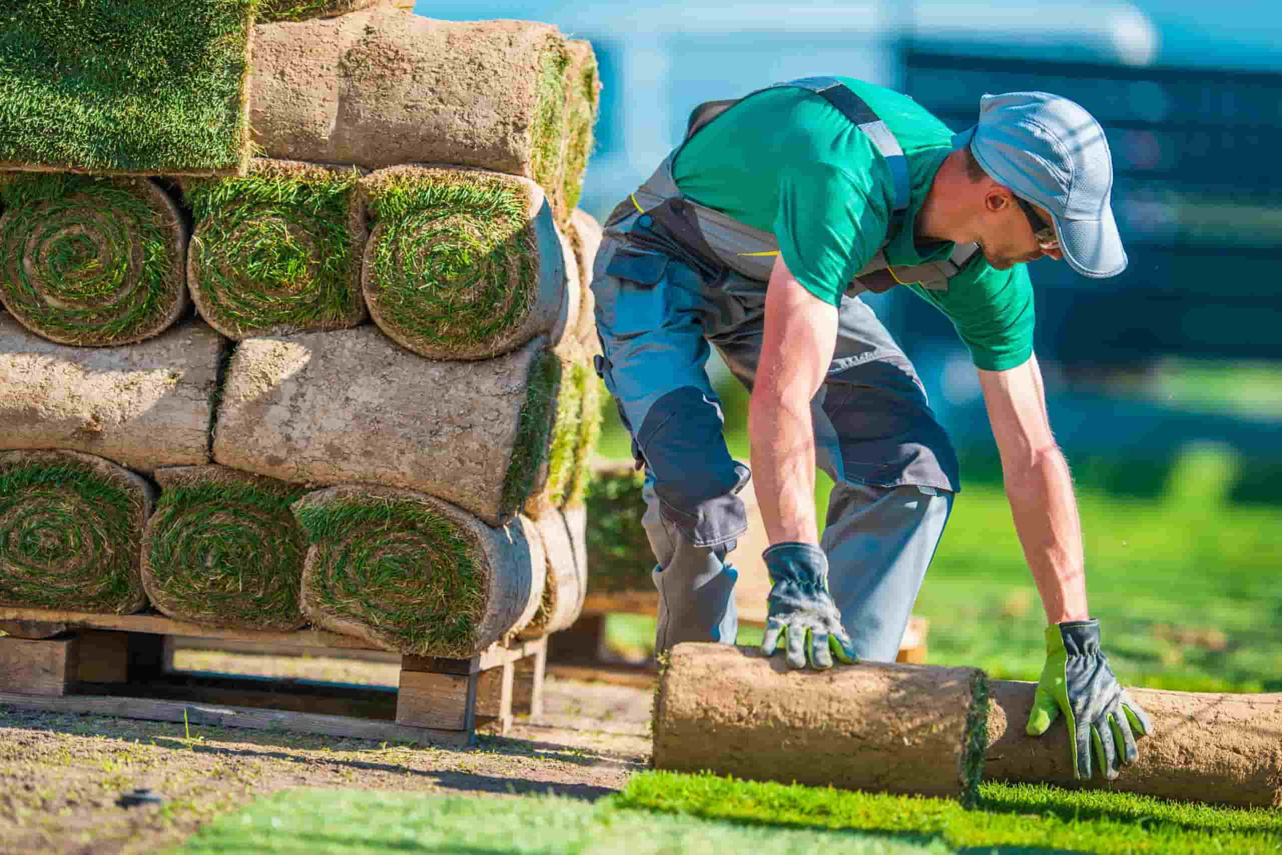 Landscapers