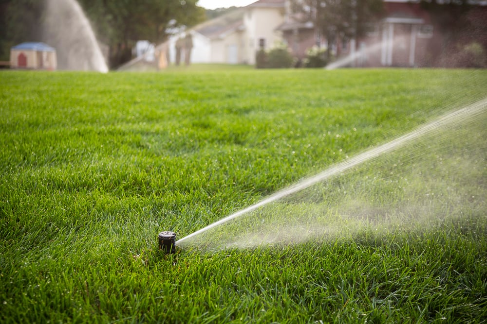 Lawn Irrigation Sprinkler Installation