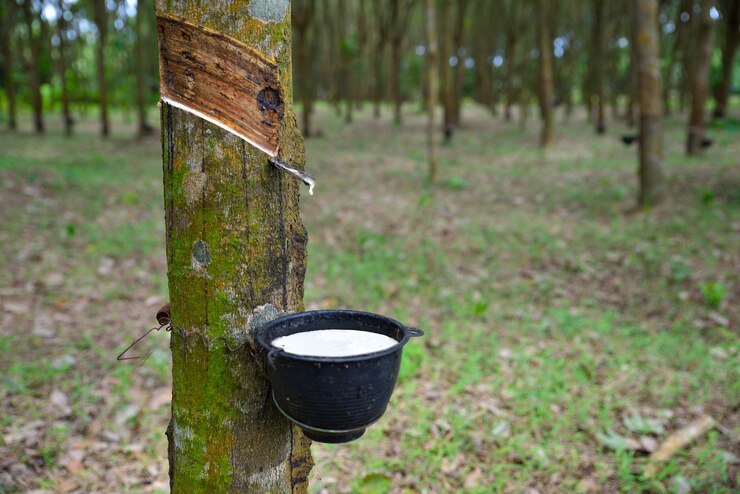 Natural Rubber