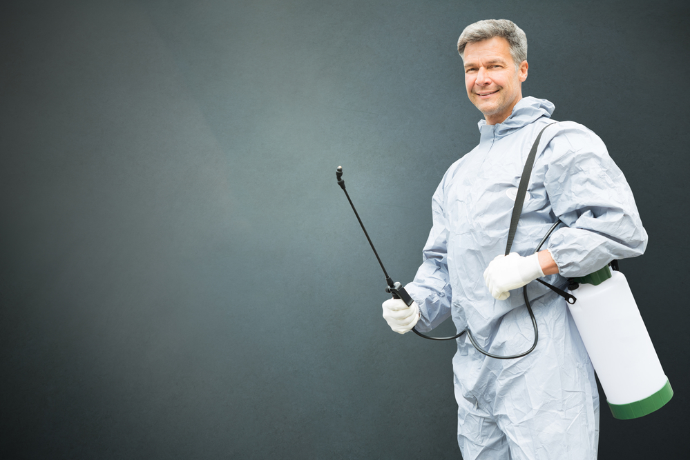 Pest Control: A Comprehensive Guide Bed Bug Treatment