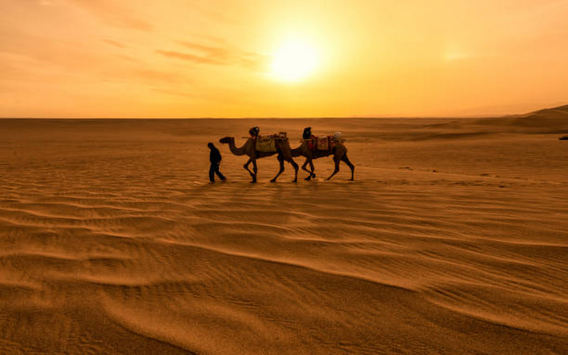 Desert Safari in Dubai