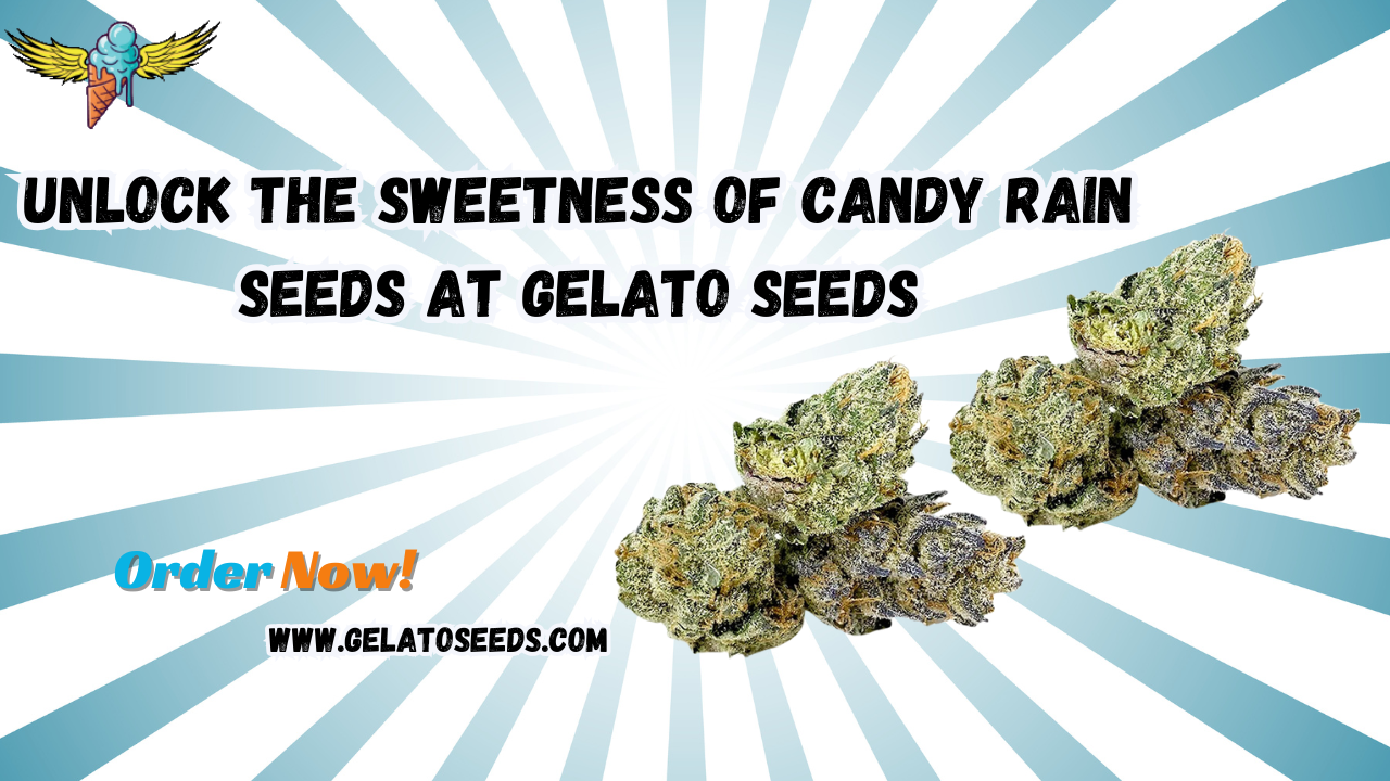 candy rain seeds