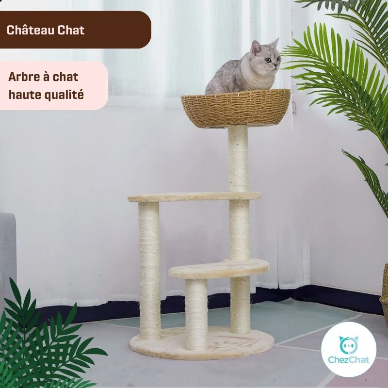 arbre a chat