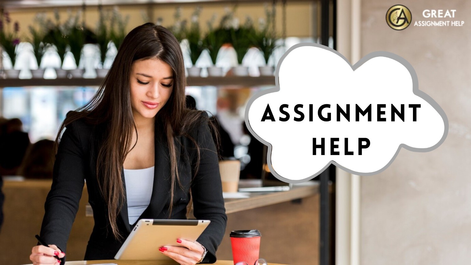 Assignment Help New Zealand