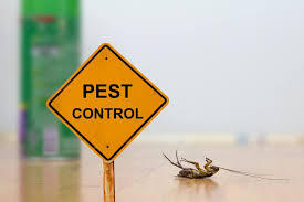 best pest control