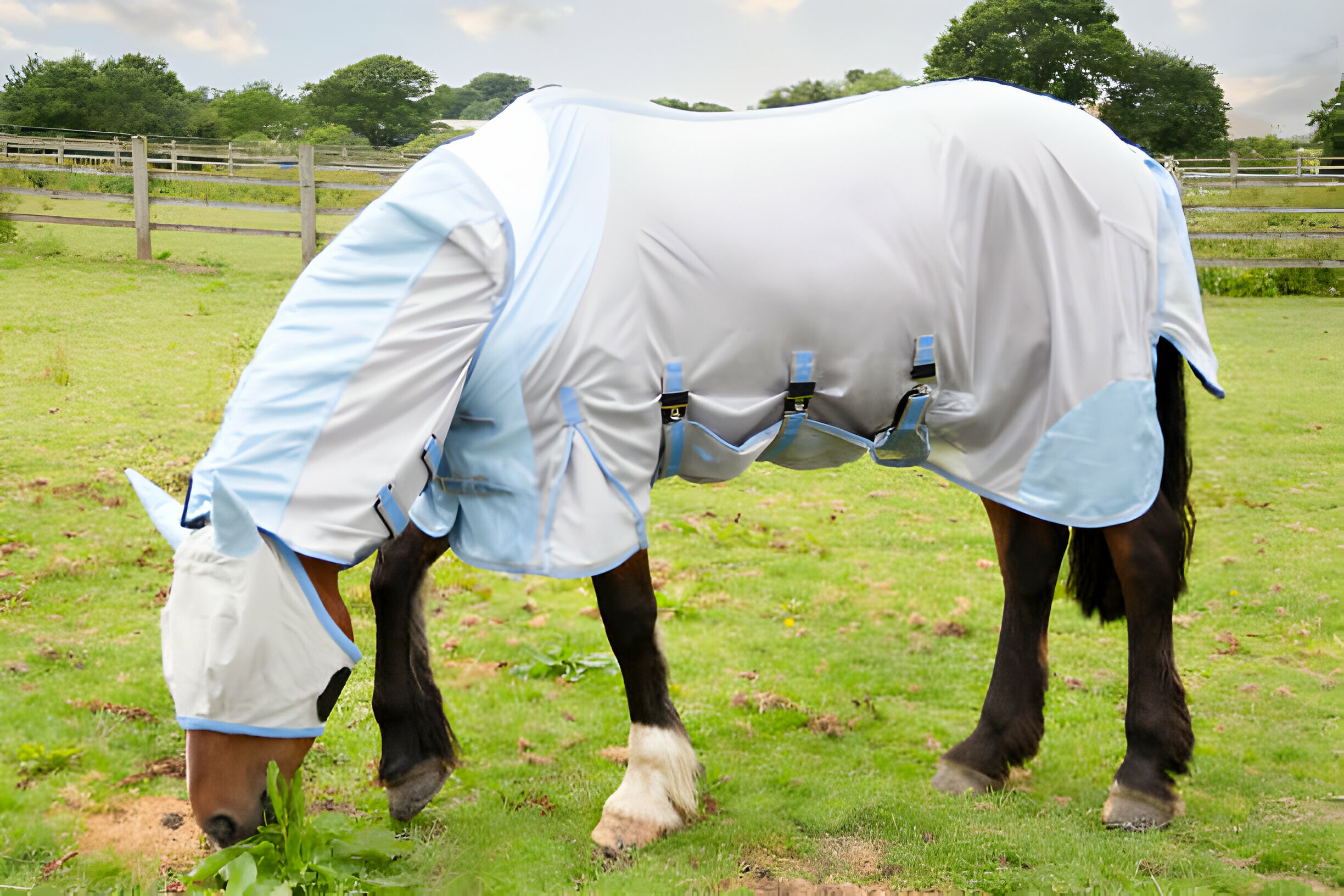 Summer Horse Rugs