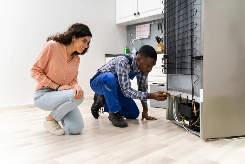 Bosch Fridge Repair