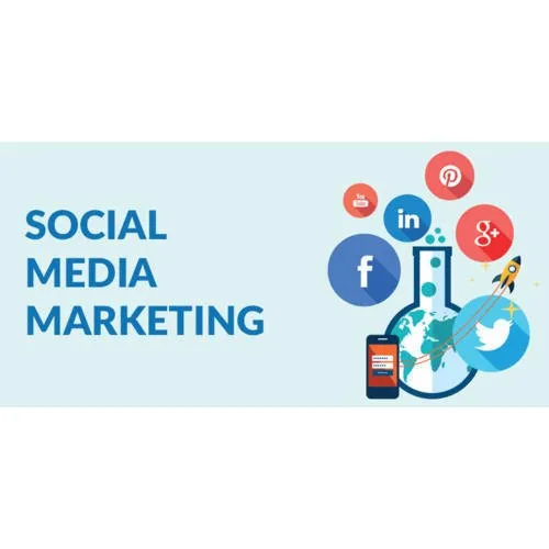 social media marketing company in hisar