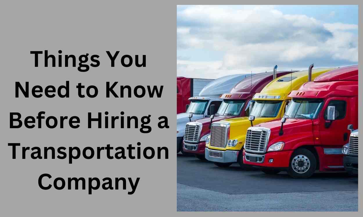 Things You Need to Know Before Hiring a Transportation Company