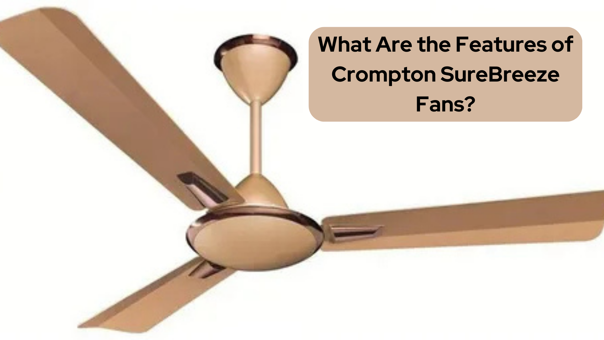 What Are the Features of Crompton SureBreeze Fans