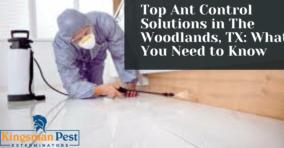 ant control in The Woodlands