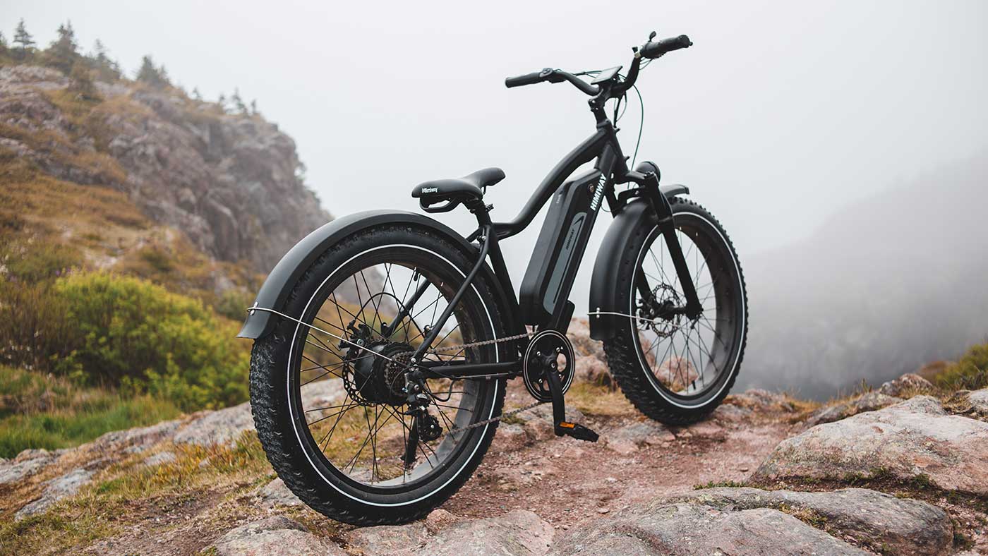 Virtue Electric Bikes