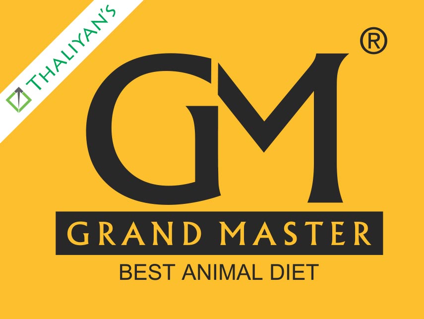 grandmaster logo