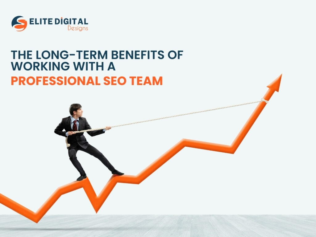 Working with a Professional SEO Team