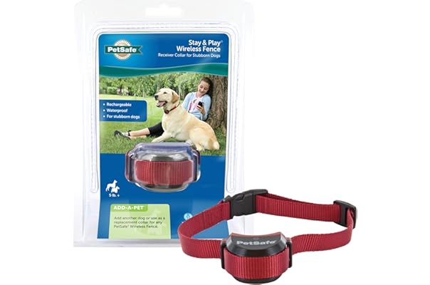 Functional and Stylish Collars and Leashes for All Pets