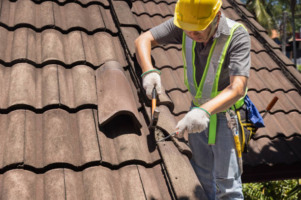 roof replacement service keswick