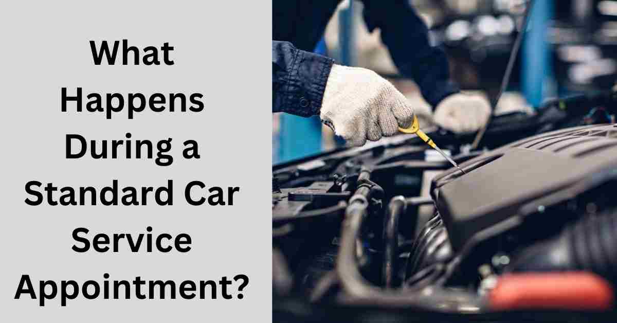 What Happens During a Standard Car Service Appointment?